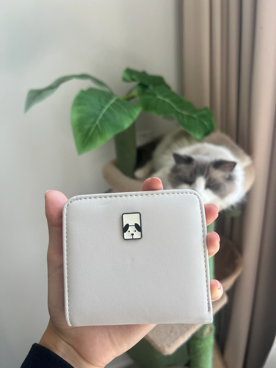 MINISO Small Wallet - free with purchase of another listing!