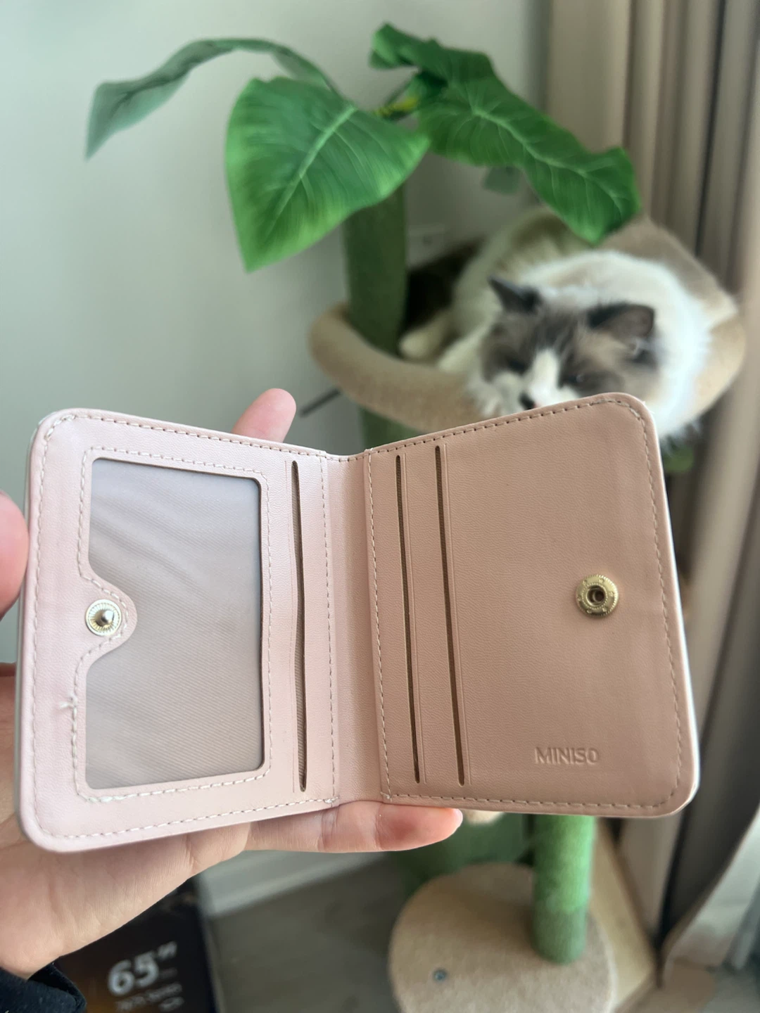 MINISO Small Wallet - free with purchase of another listing! - photo 2