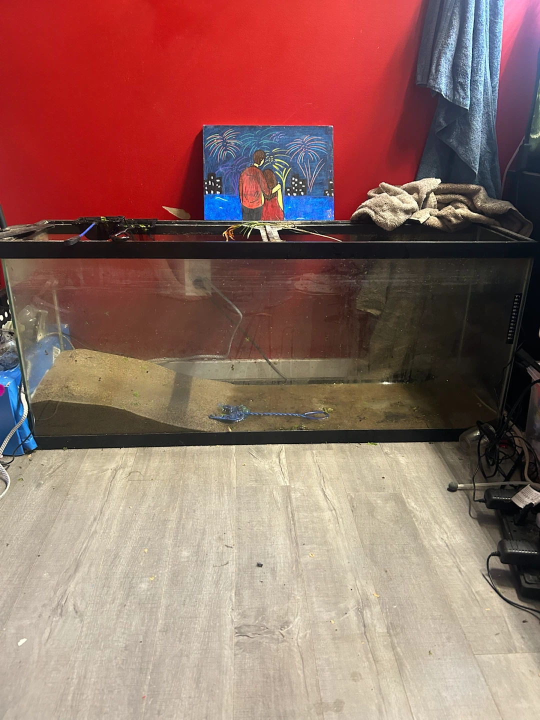 60gal Aquarium