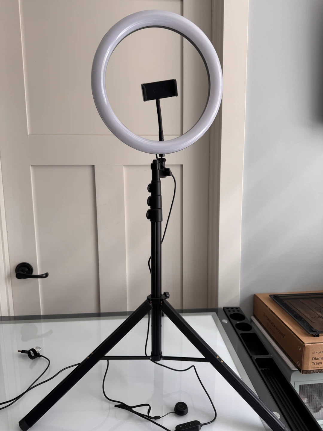 Ring Light with Phone Holder