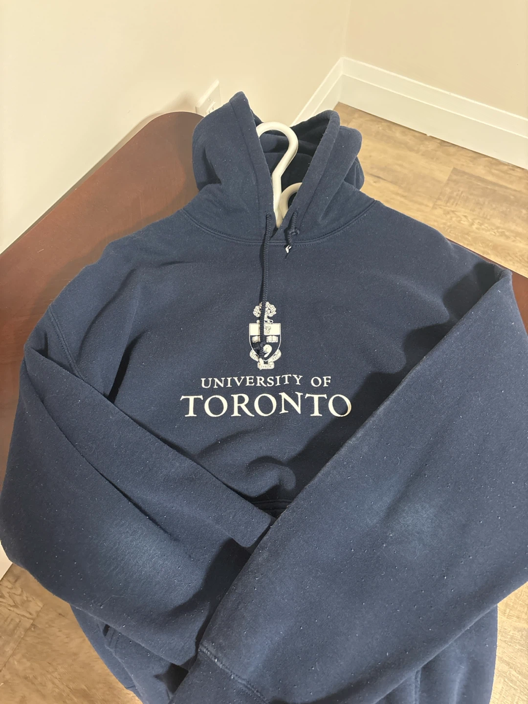 University of Toronto Hoodie