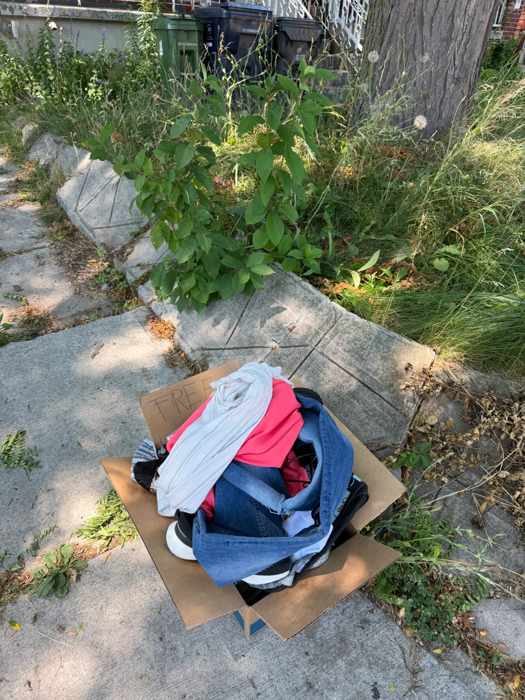 FREE Box of assorted clothing and shoes