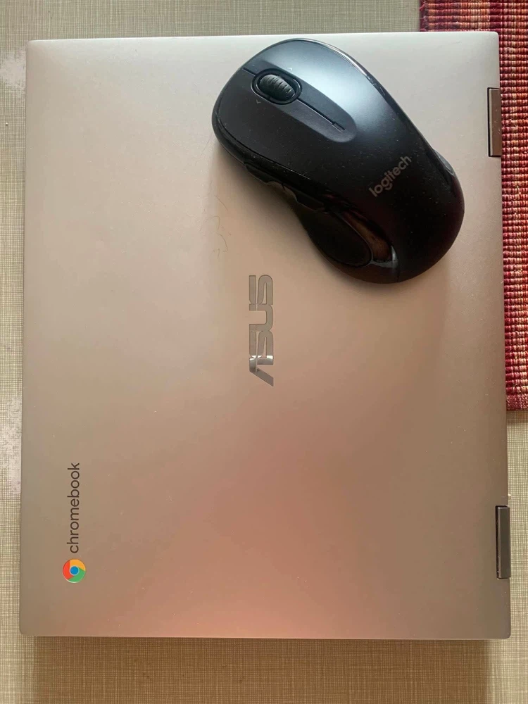 ASUS Chromebook Laptop with Logitech Mouse