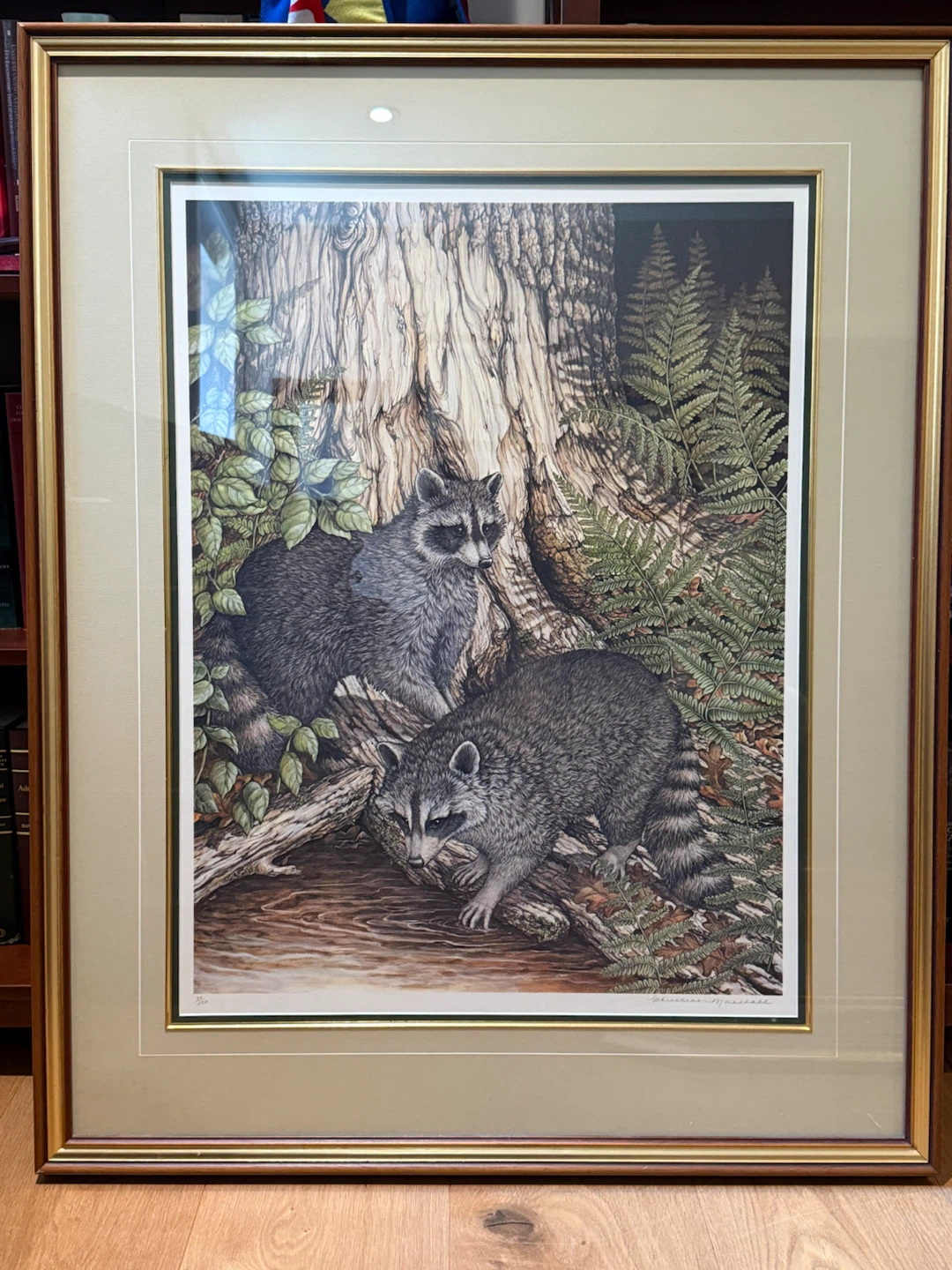 Raccoon Print