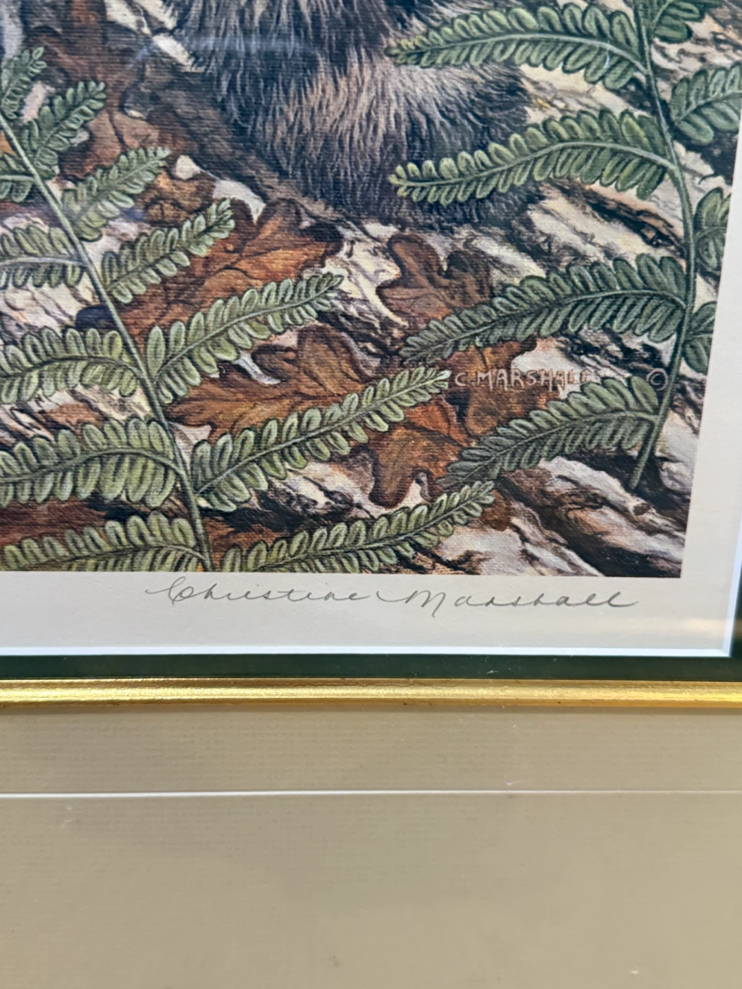 Raccoon Print - photo 2