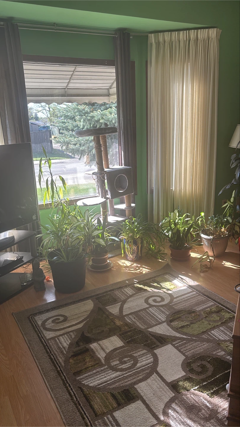 Roommate wanted - photo 2