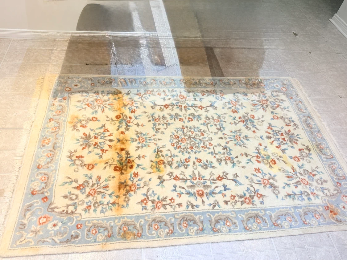 Oriental Area Rug with Floral Pattern