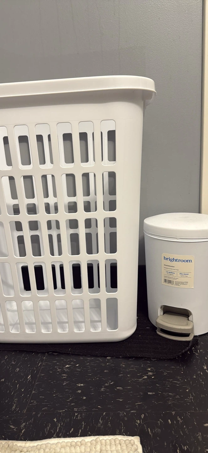 Laundry basket and trash bin both for $15