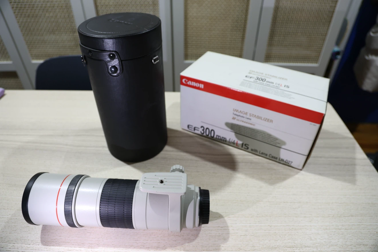 Canon EF 300mm f/4 L IS USM Telephoto Lens