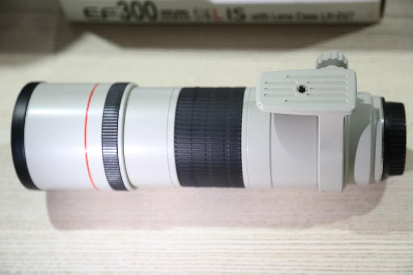 Canon EF 300mm f/4 L IS USM Telephoto Lens - photo 5