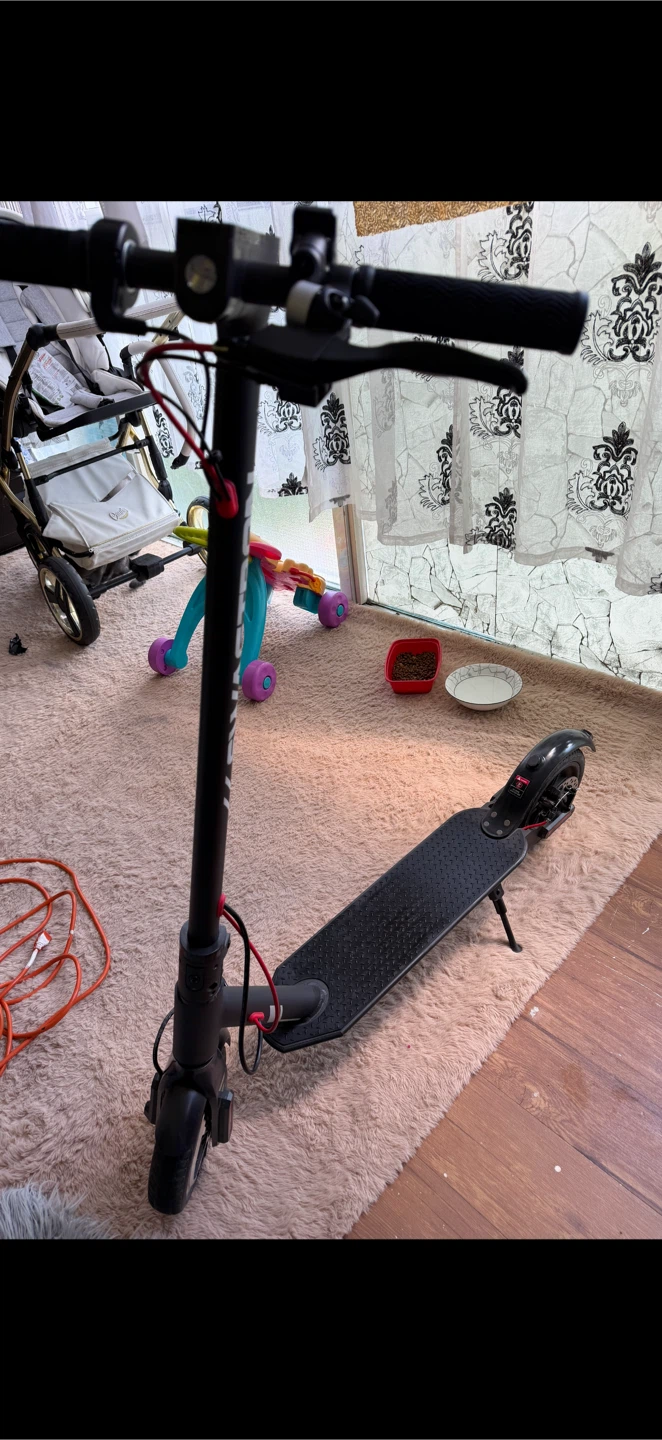 Swagger Electric Scooter