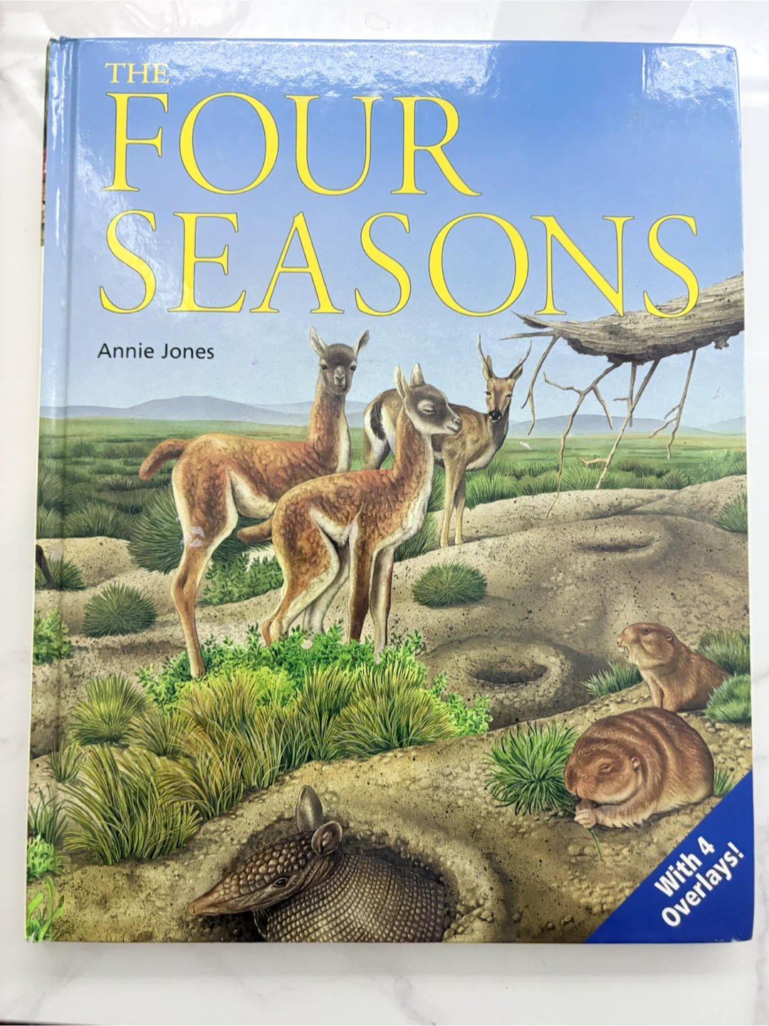 Childrens Book