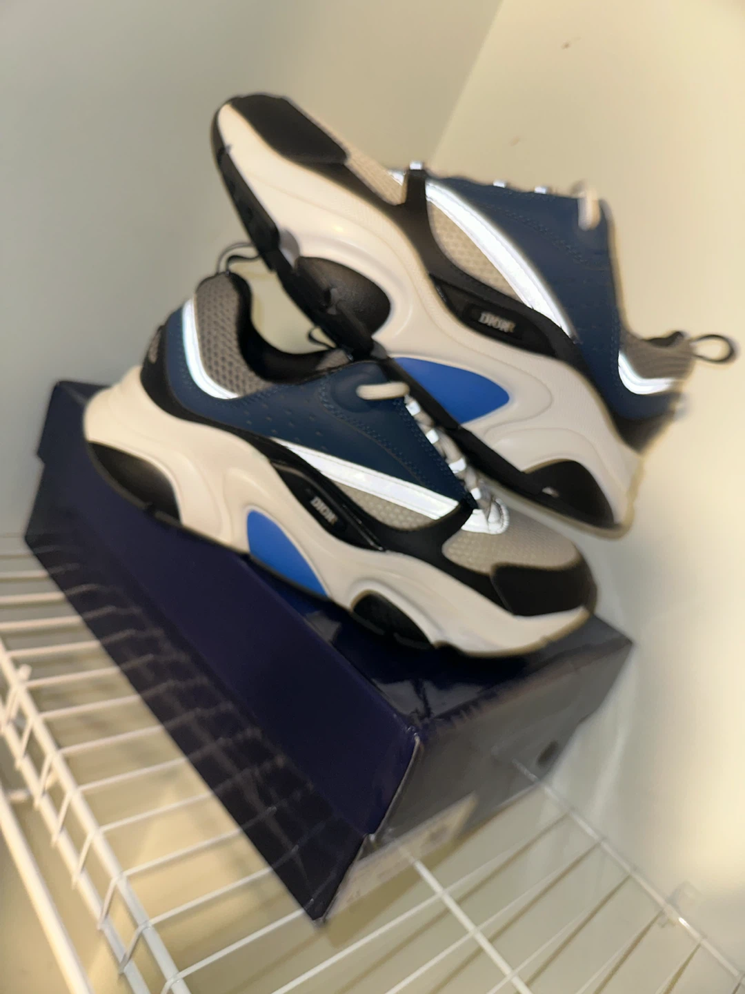 Dior b22