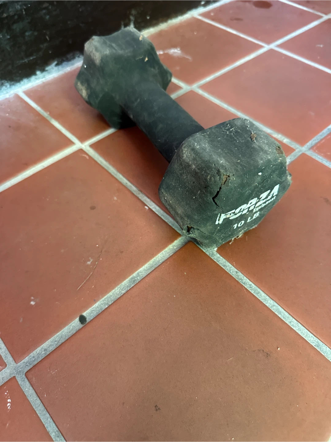 Forza 10 LB Dumbbell