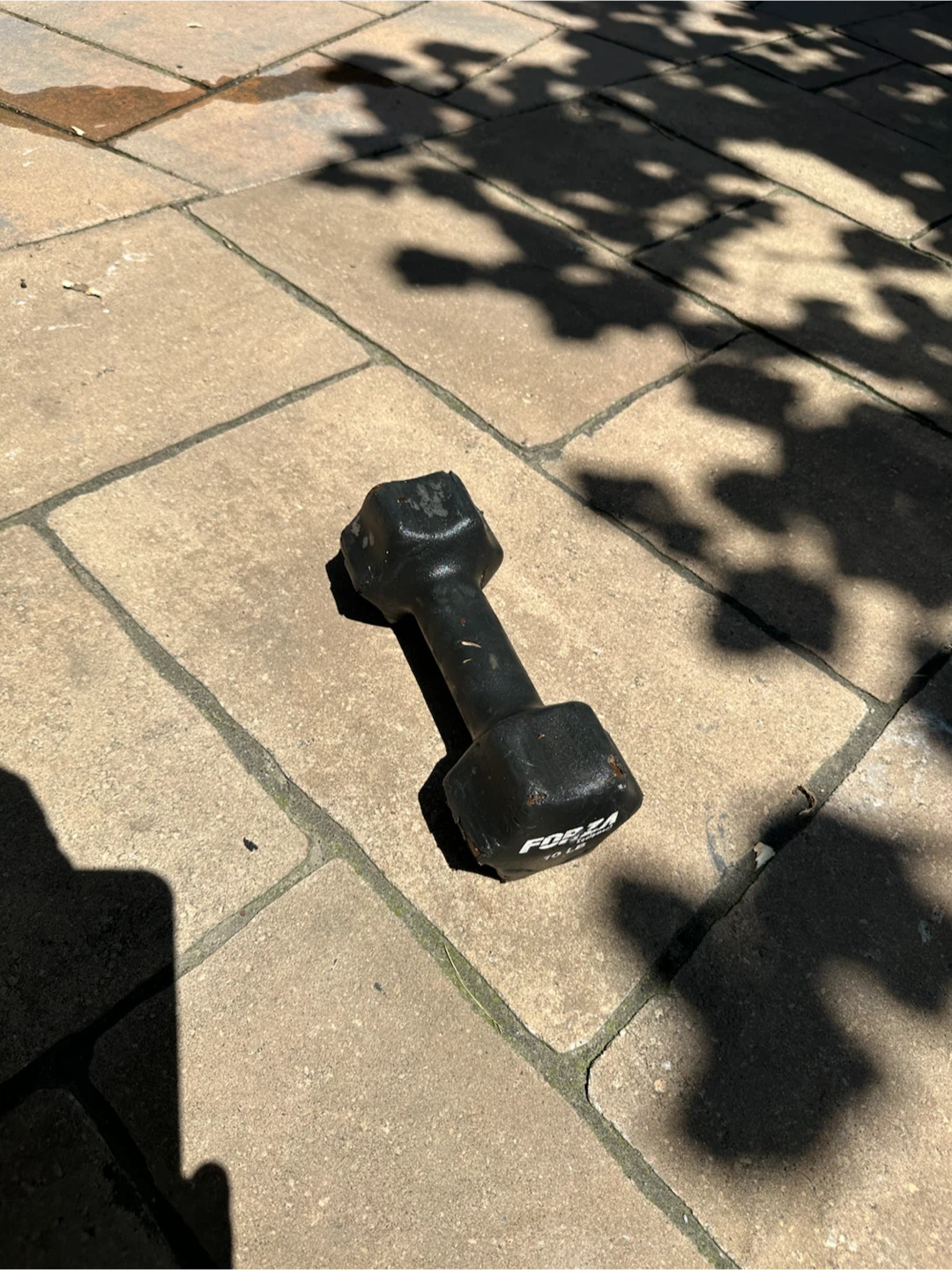 Forza 10 LB Dumbbell - photo 3