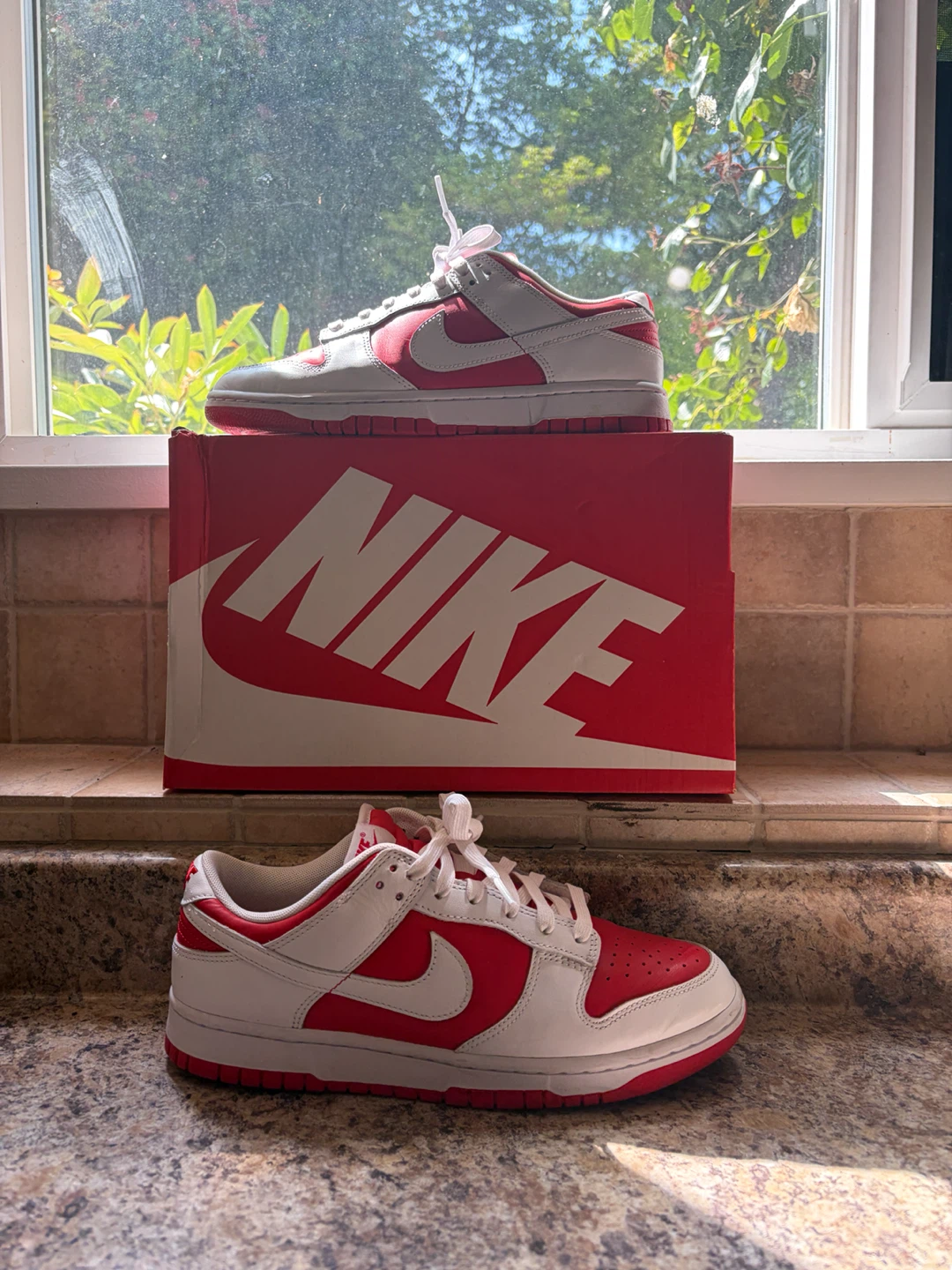 Nike Dunk Low Red White