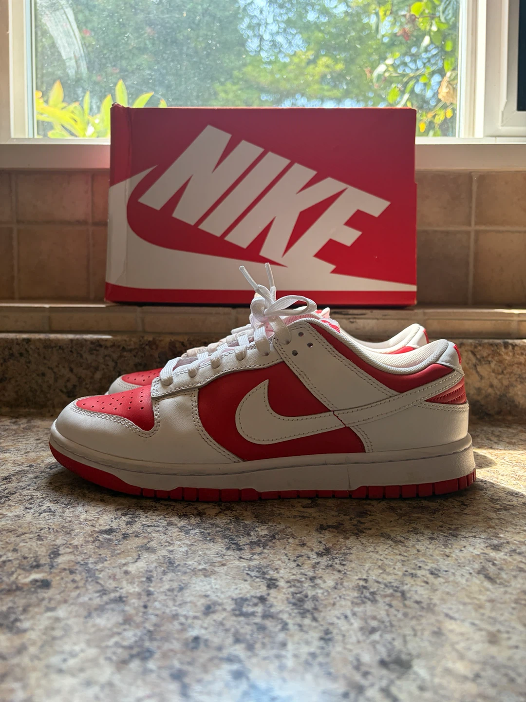 Nike Dunk Low Red White - photo 3