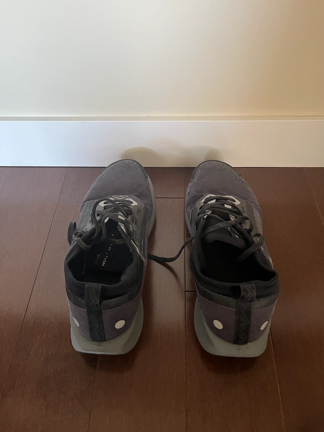 Nike Trail Pegasus GORE-TEX Shoes
