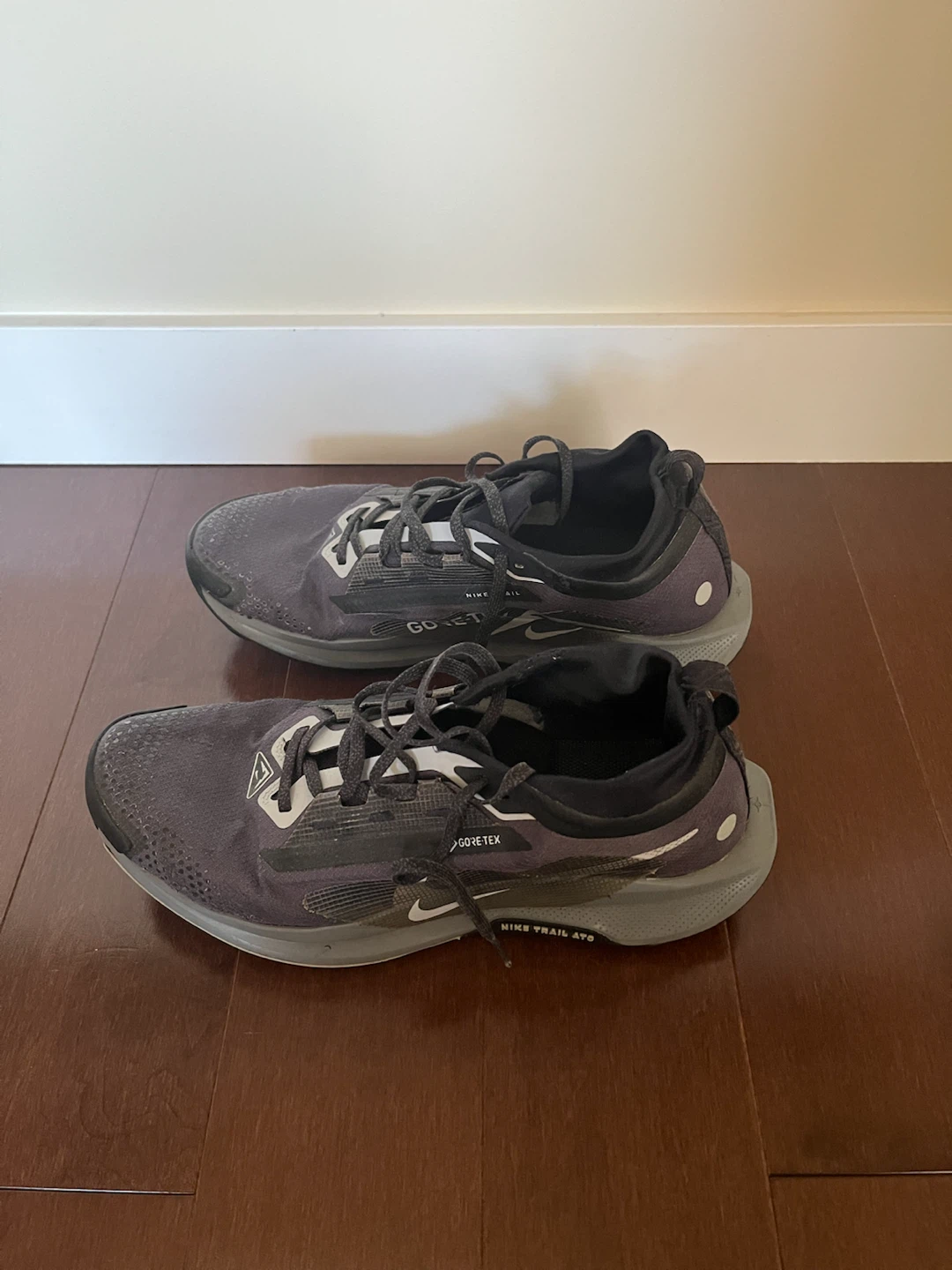Nike Trail Pegasus GORE-TEX Shoes - photo 2
