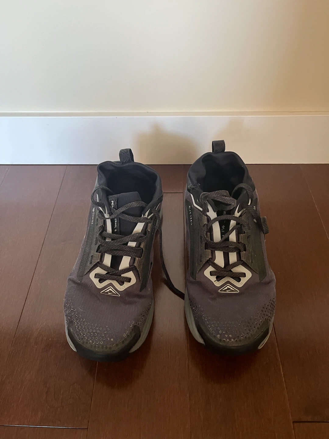 Nike Trail Pegasus GORE-TEX Shoes - photo 3