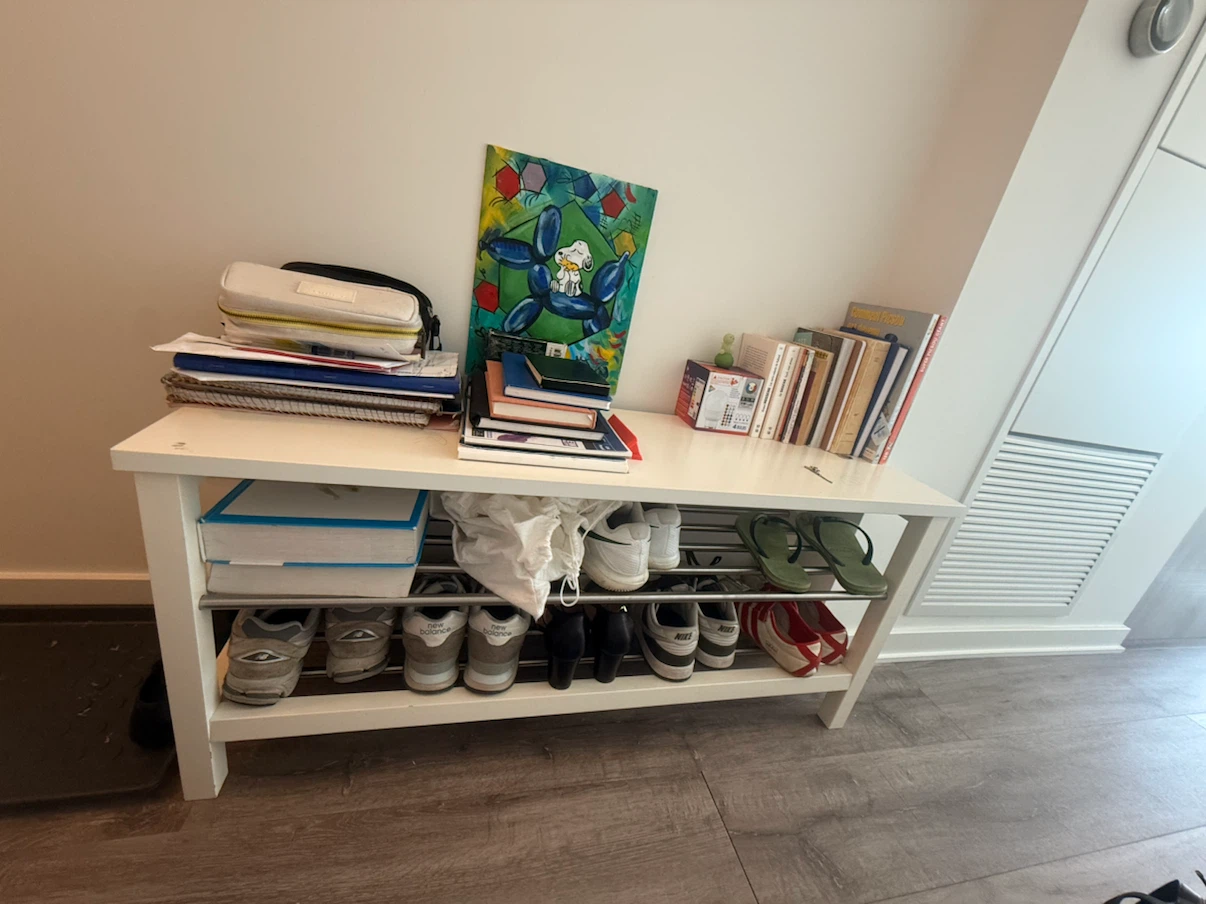 IKEA Shoe Rack and Storage Shelf