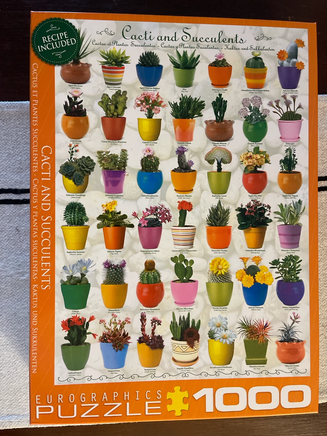 Eurographics Cacti and Succulents 1000 Piece Puzzle