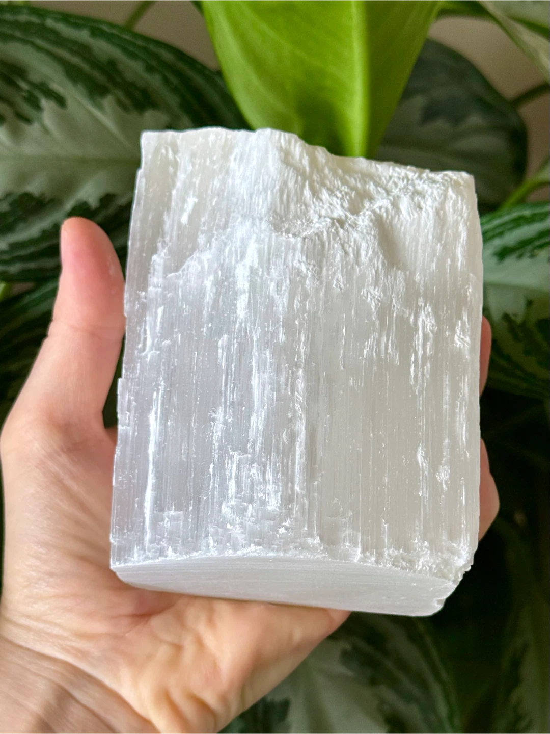 Genuine Large Moroccan Selenite Crystal Chunk