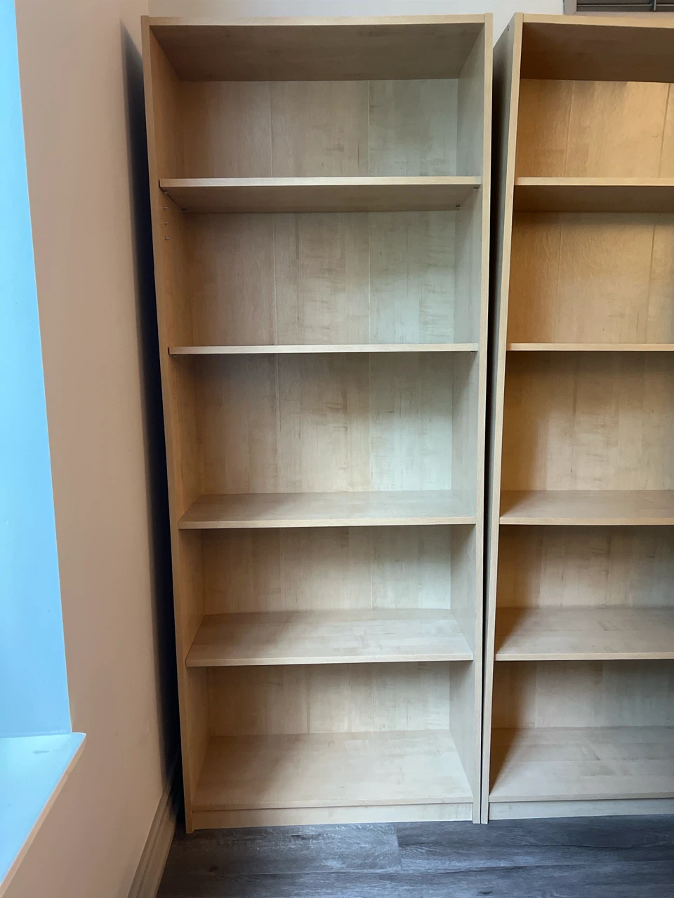 Moving Sale - IkEA bookshelf