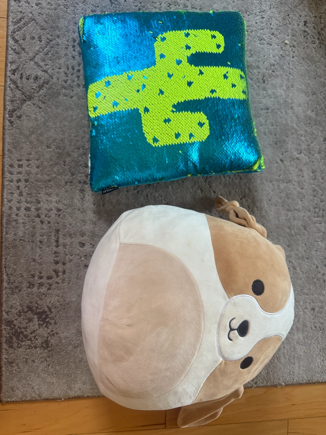 Decorative Cactus Sequin Pillow and Dog squish mellow
