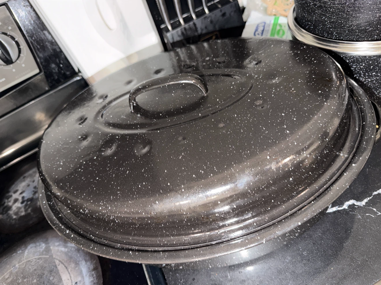 Speckled Roasting Pan with Lid