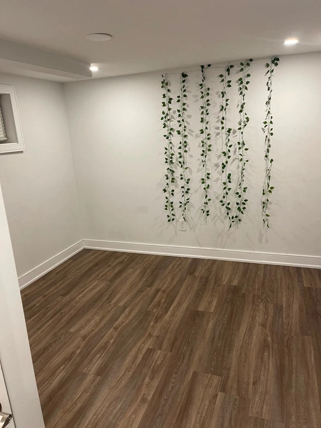 Huge room in basement for rent (Lawrence) - photo 2