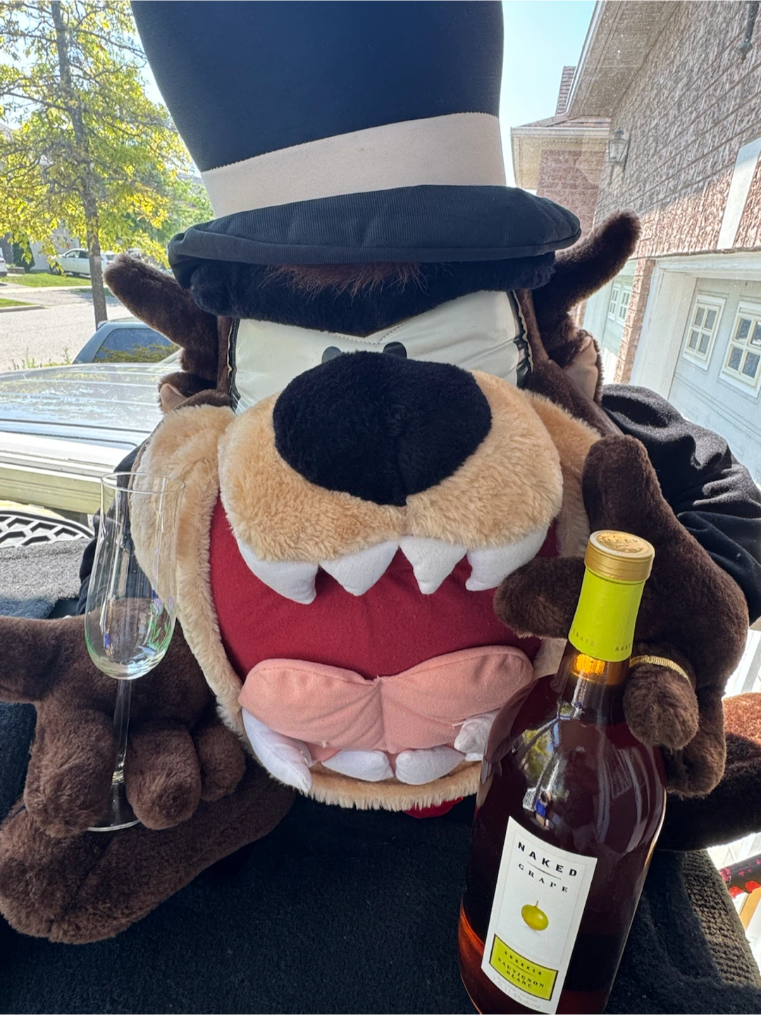 Gigantic RARE Tasmanian Devil (“TAZ”) Wedding Groom 36” Plush - photo 5