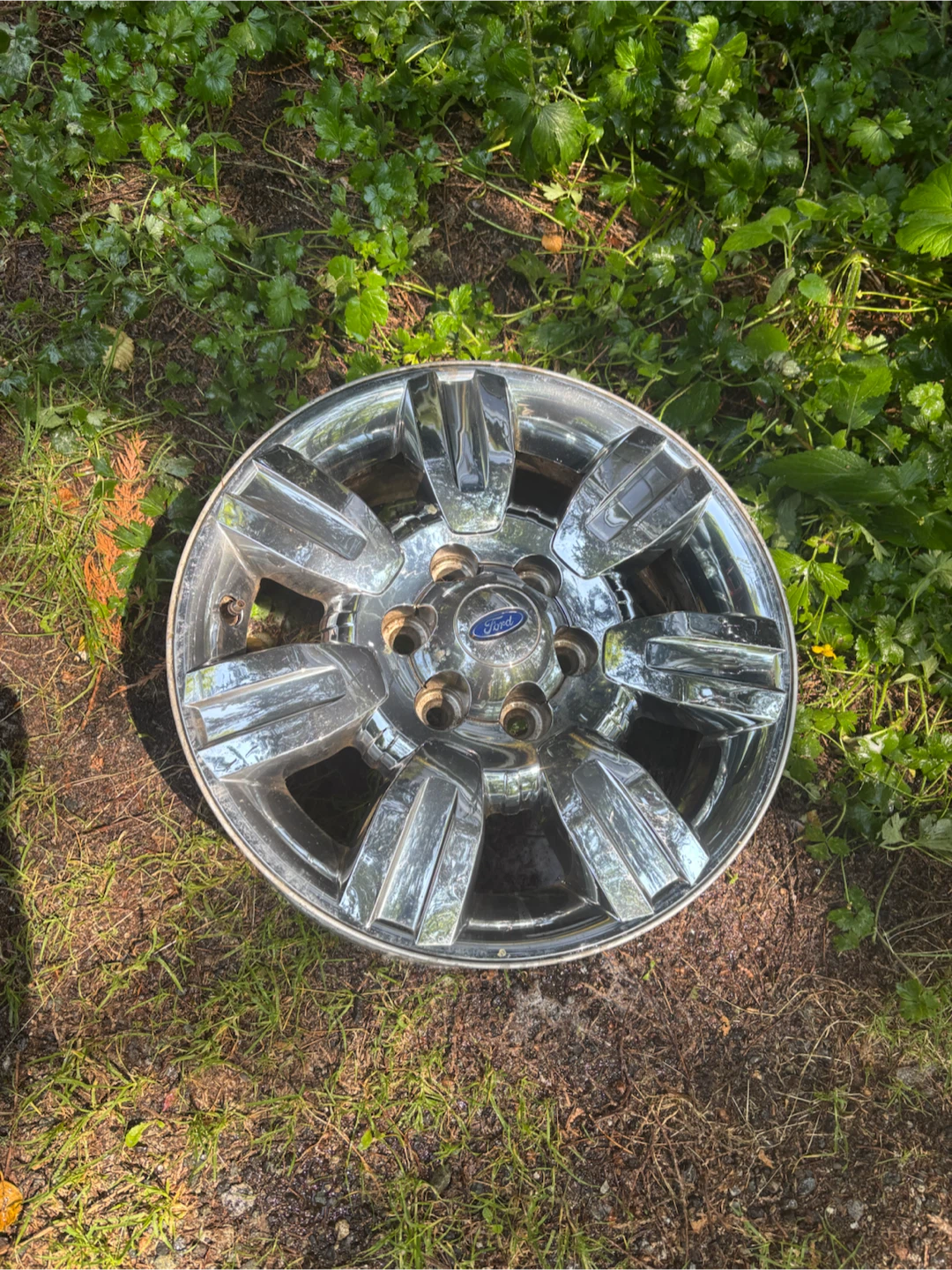 Ford Chrome Wheel Rim