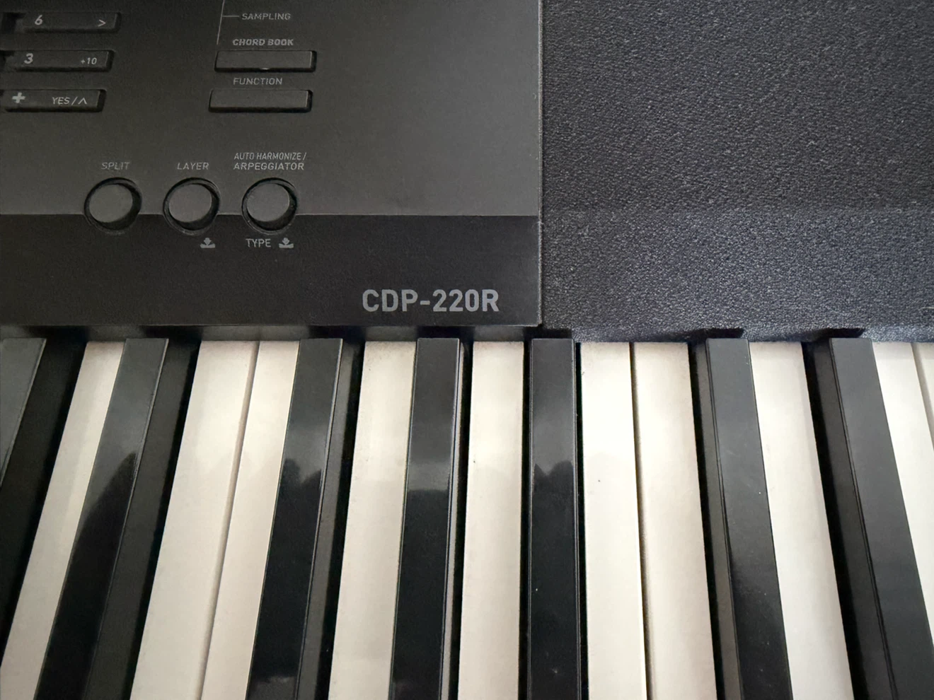 Casio CDP-220R Digital Piano Keyboard - photo 3