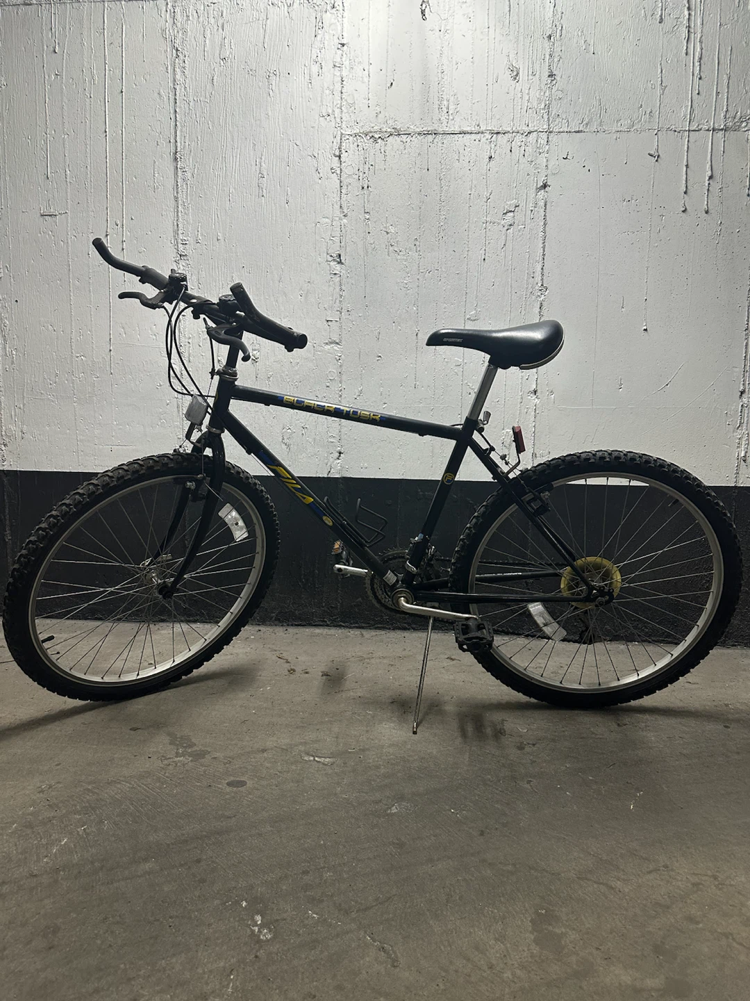 FILA Black Tusk Mountain Bike