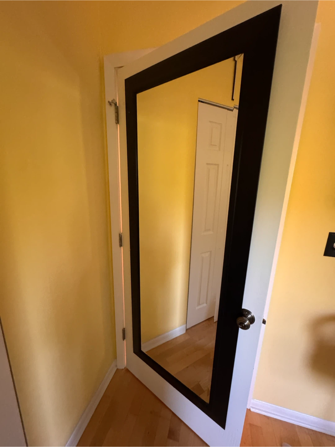 Full Length Mirror with Black Frame