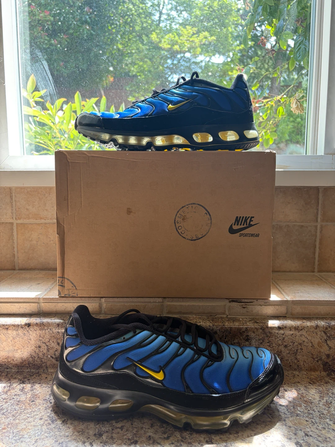 Nike Air Max TN Men's Running Shoes