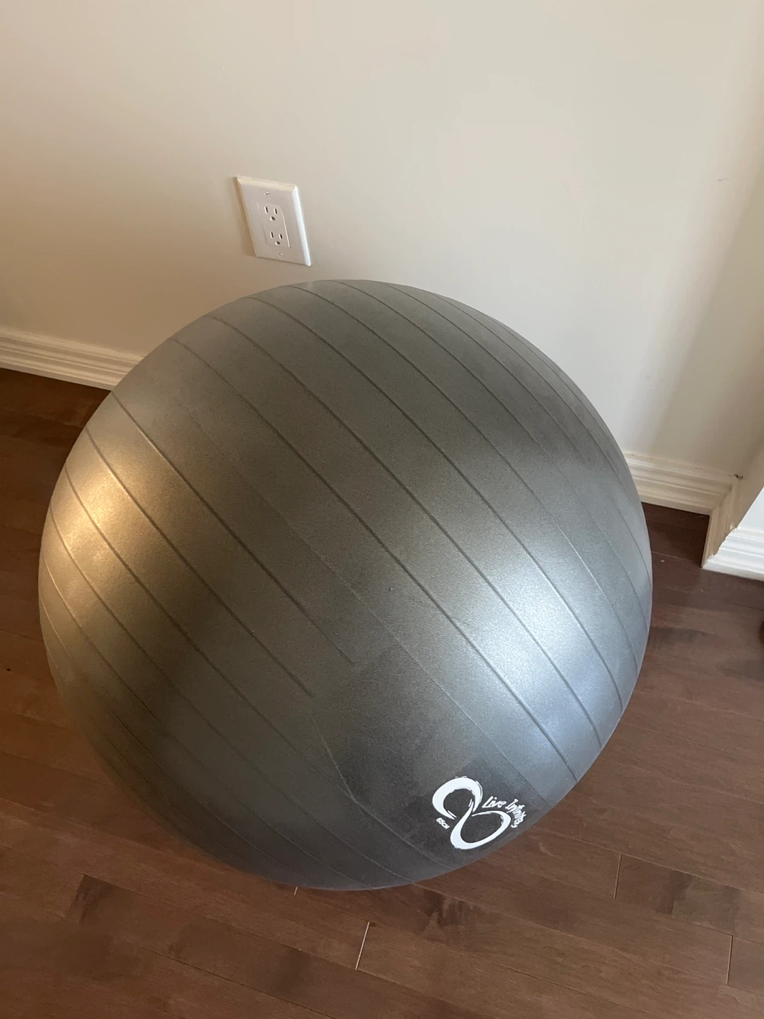 Live Infinity 65cm Exercise Ball - photo 2