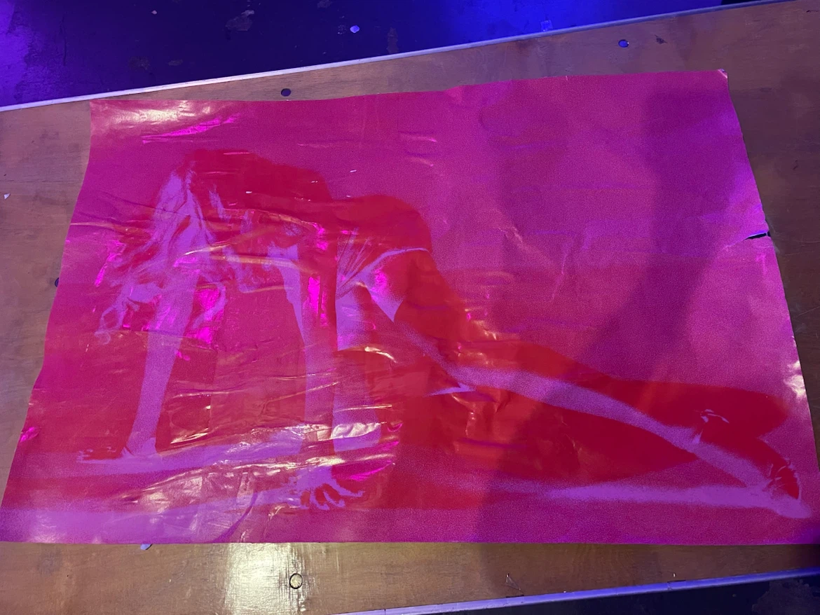 Madonna poster from the NYC Club Confessions party