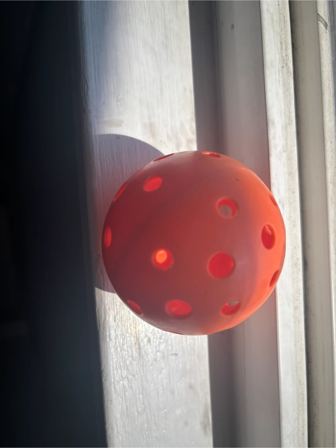 Orange Pickleball - photo 2