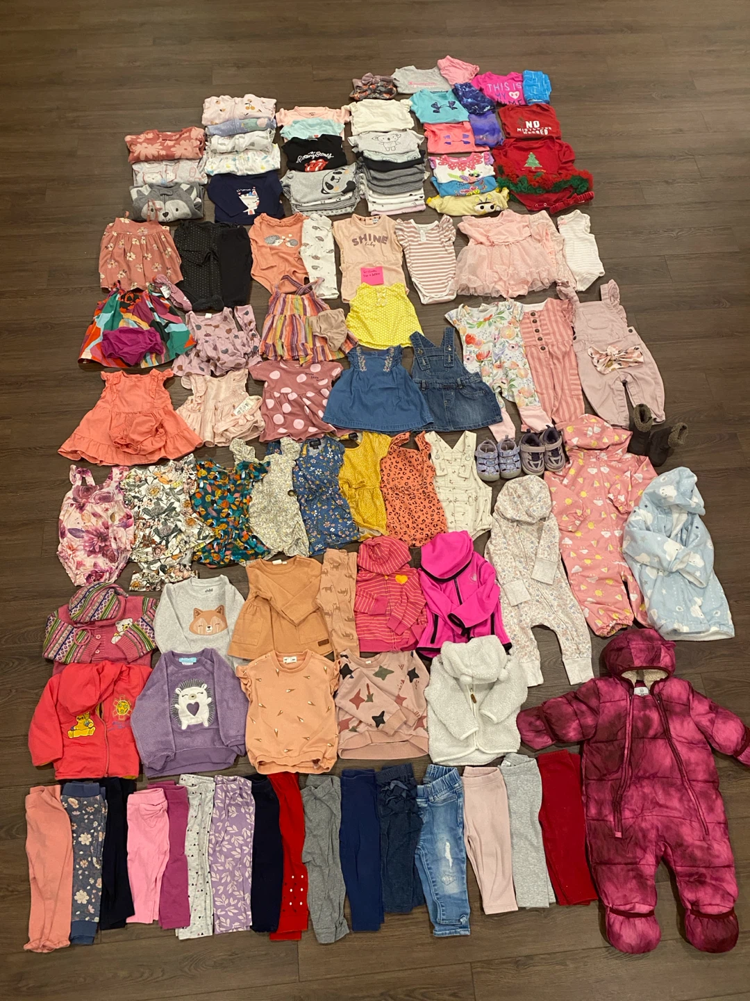 Baby Girl Clothes Bundle (6-12 months)