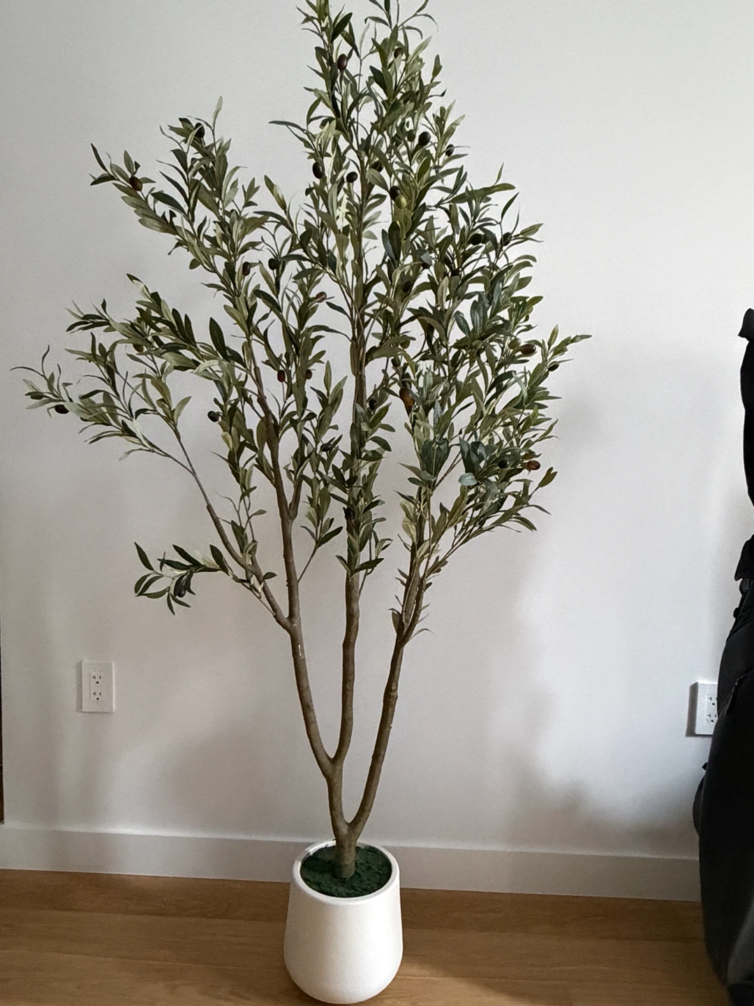 Artificial Olive Tree in White Pot