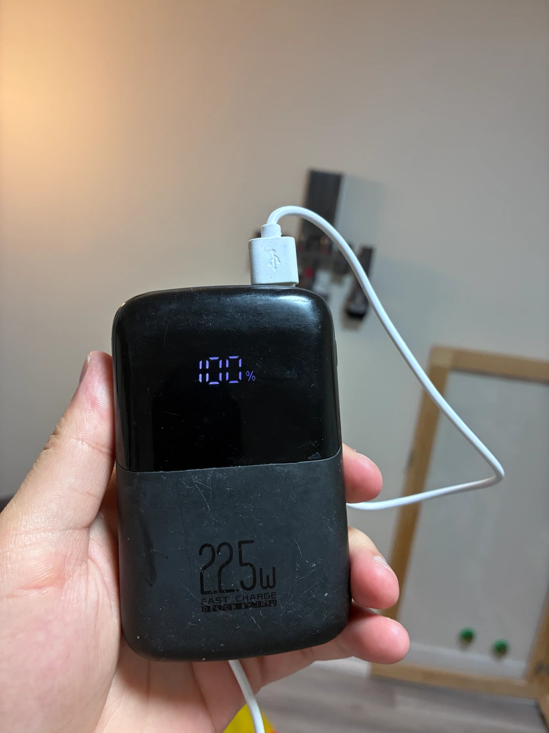 INIU Power Bank