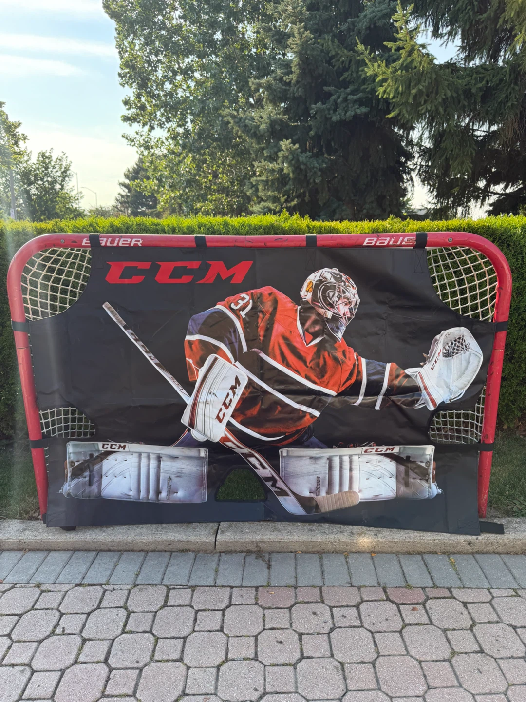Goal practice net