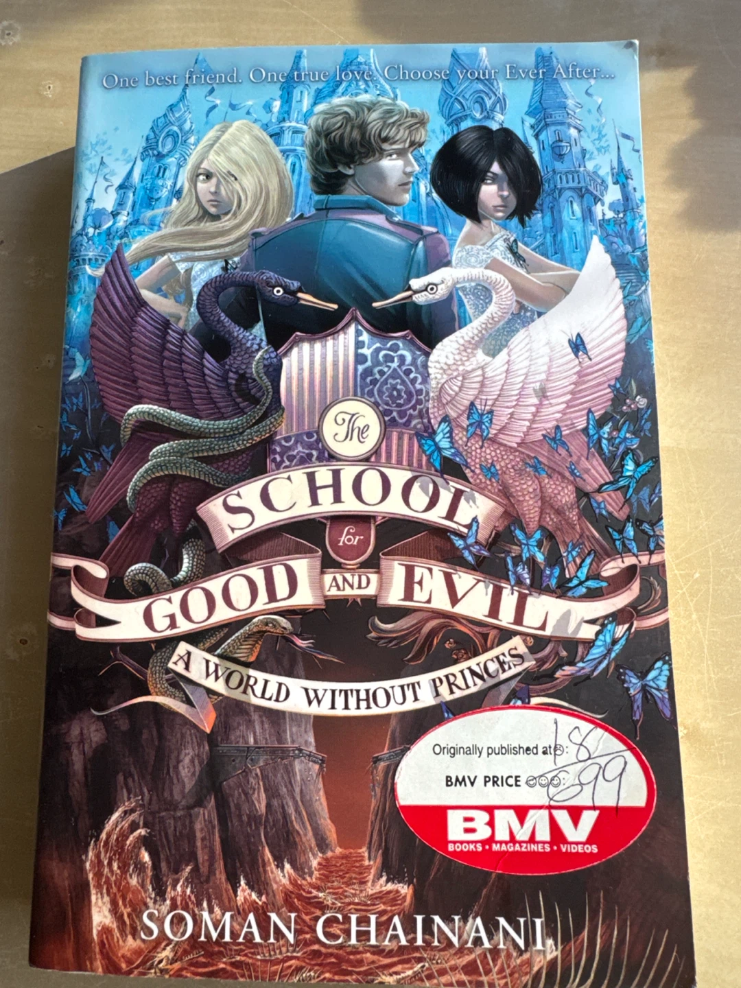 The school for good and evil, a world without