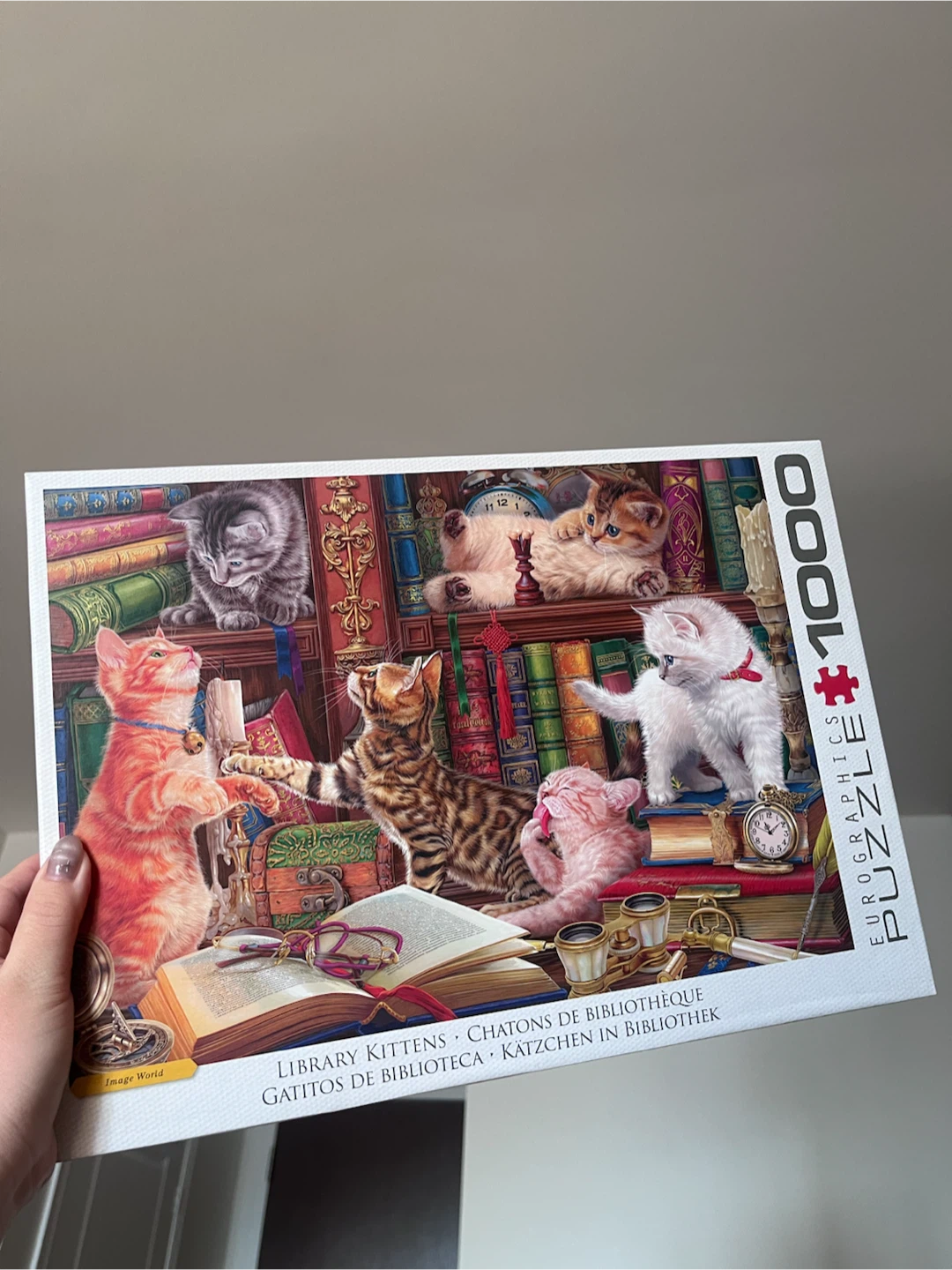 Eurographics 1000 Piece Library Kittens Puzzle