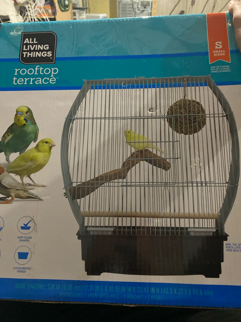 All Living Things Rooftop Terrace Small Bird Cage
