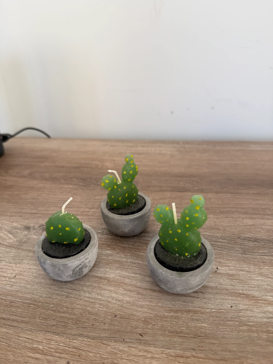 Set of 3 Cactus Candles