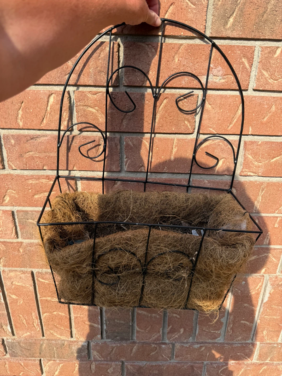 Wire Wall Planter with Coconut Liner