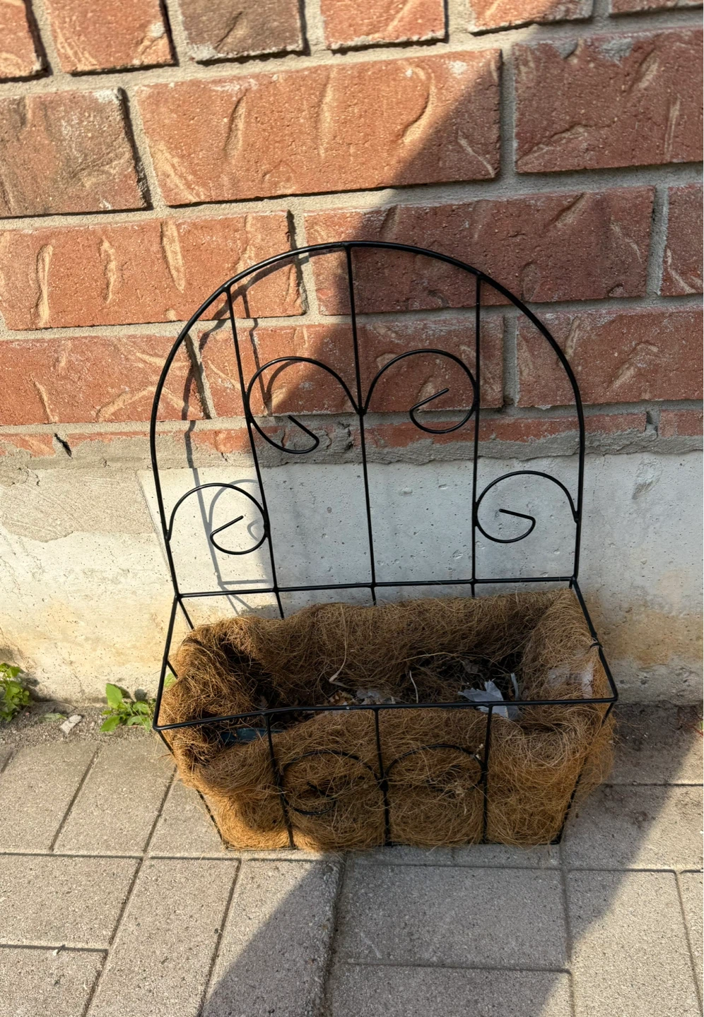 Wire Wall Planter with Coconut Liner - photo 2